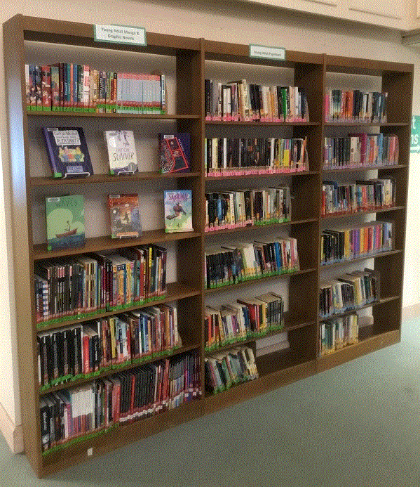 Teen bookcase