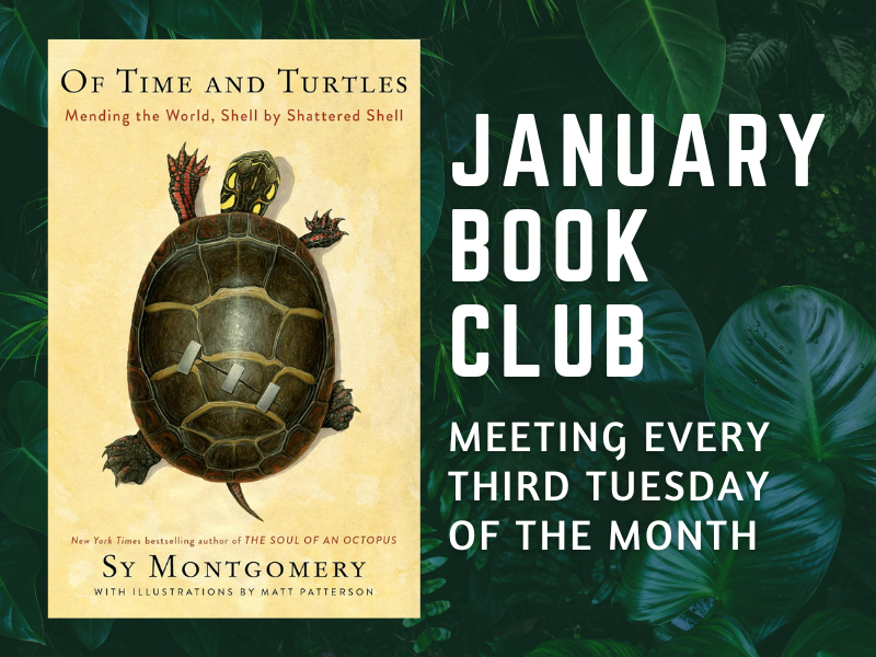 image of book Of Time and Turtles by Sy Montgomery. Text reads January Book Club. Meeting Every Third Tuesday of the Month 