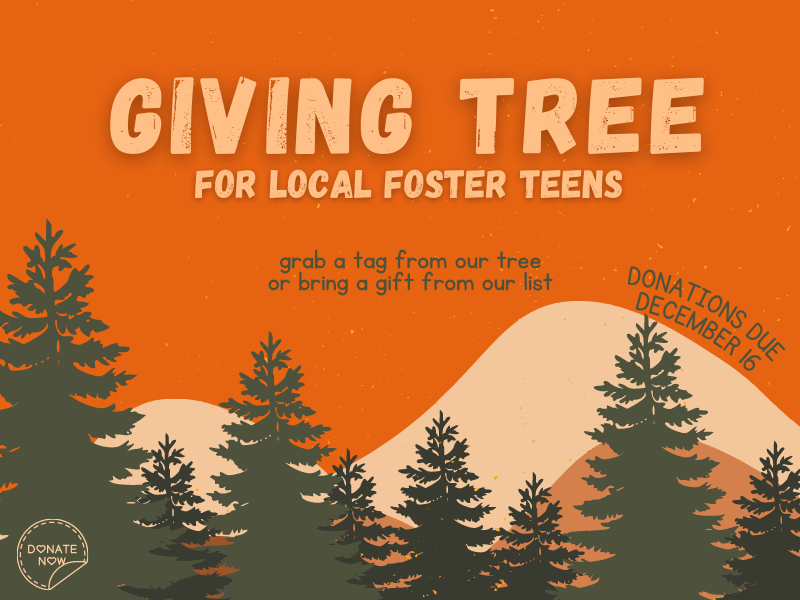 trees with text that reads giving tree for local foster teens grab a tag from our tree or bring a gift from our list donations due december 16 donate now
