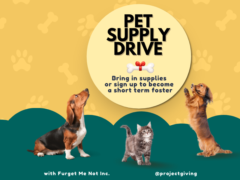two dogs and a cat with text that reads pet supply drive bring in supplies or sign up to become a short term foster with furget me not inc. @projectgiving 
