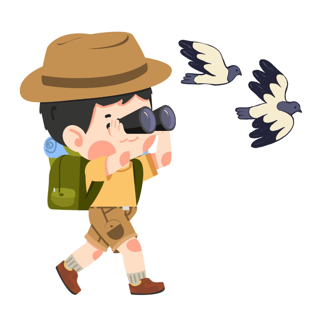 Child with binoculars with birds