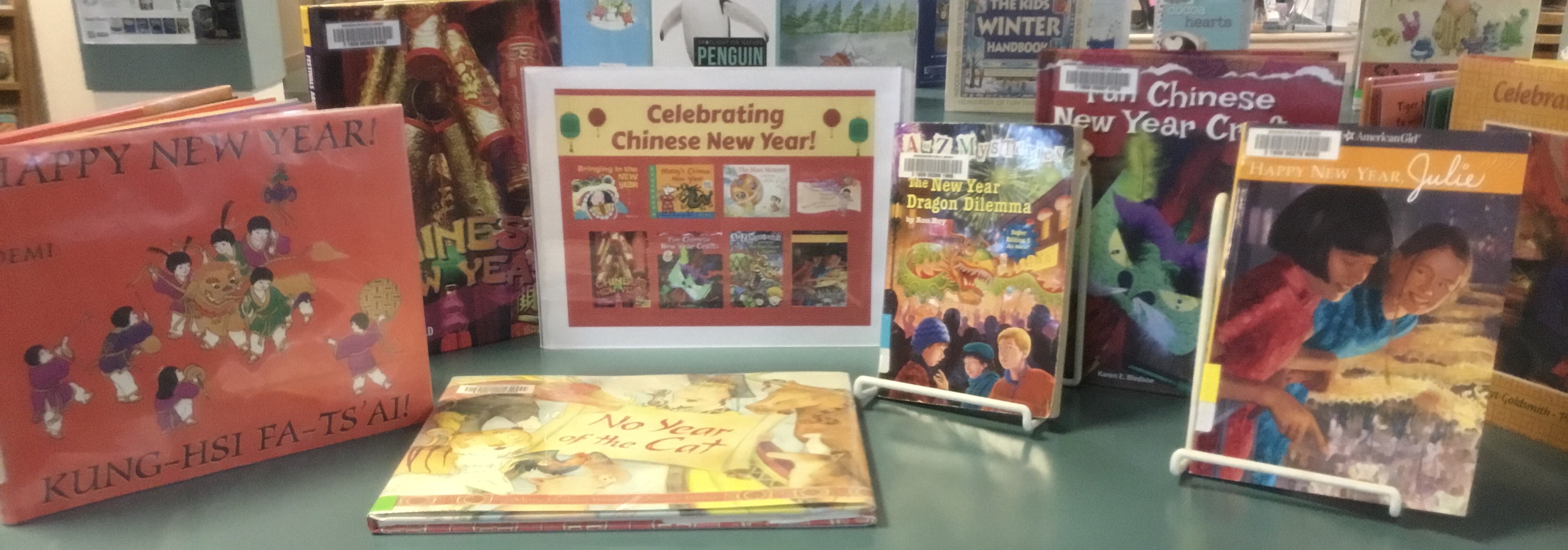 chinesenewyeardisplay