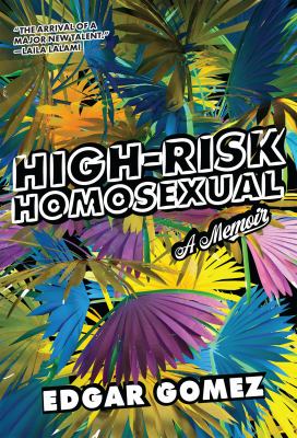 high-risk homosexual book cover