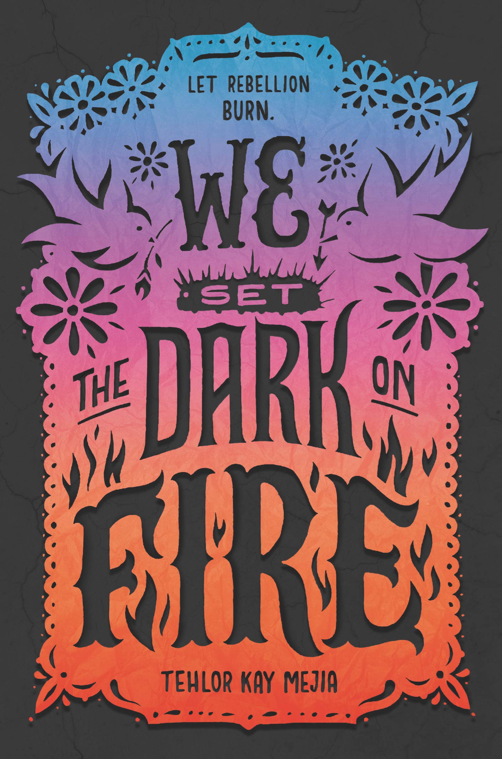we set the dark on fire book cover