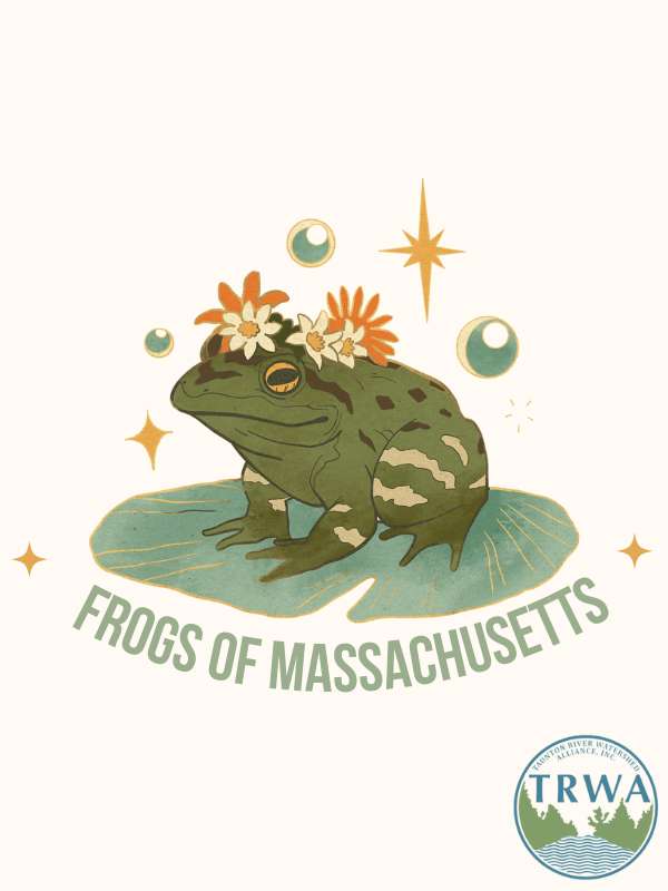 frog on lilypad with text that reads frogs of massachusetts and TRWA logo