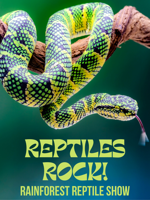 Snake on a stick with its tongue out image with text that reads reptiles rock! rainforest reptile show