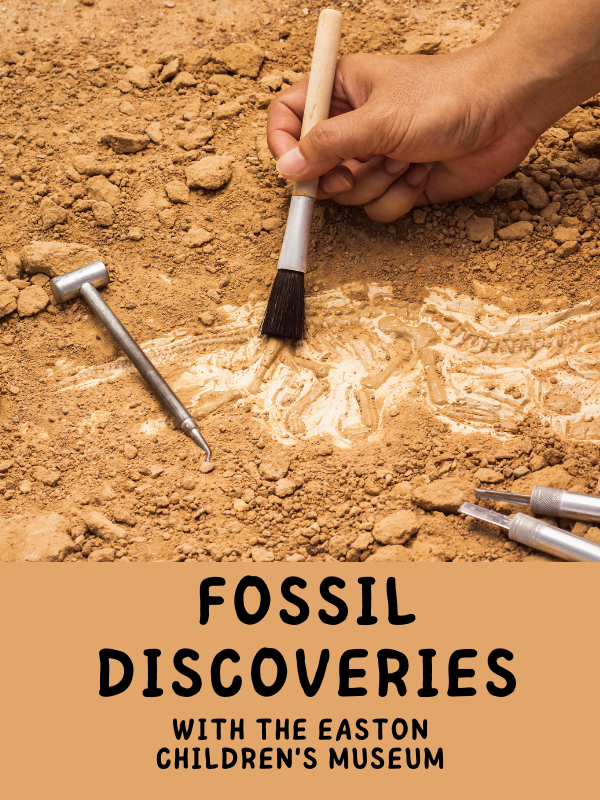 fossil finding image with text that reading fossil discoveries with the easton children's museum