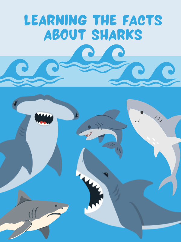 sharks under water with text that reads learning the facts about sharks