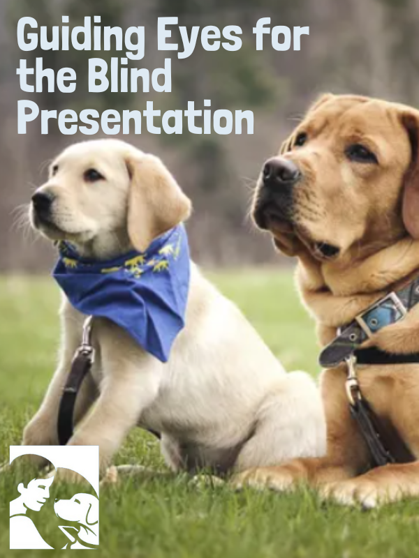 two guide dogs with text that reads guiding eyes for the blind presentation