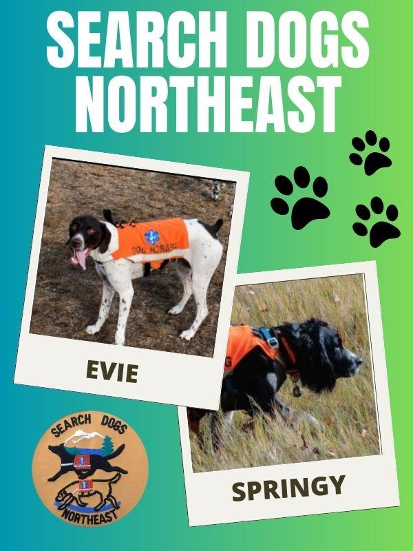 Green background with two pictures of search and rescue dogs. Text that reads: Search Dogs Northeast.
