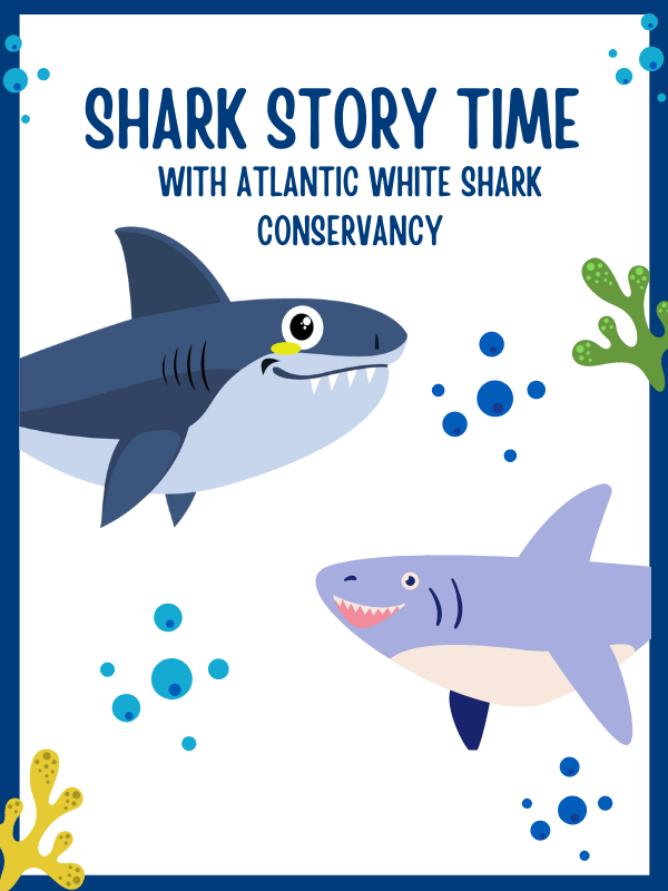 two sharks with text that reads shark story time with atlantic white shark conservancy