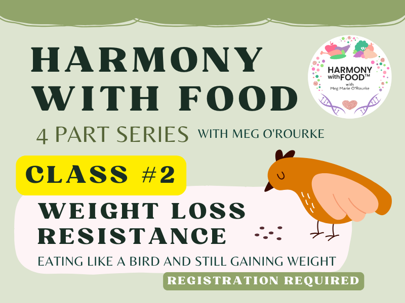 image of bird eating. text reads Harmoney with food 4 part series with meg O'Rourke.  Class #2 Weight Loss Resistance. Eating like a bird and still gaining weight. registration required,