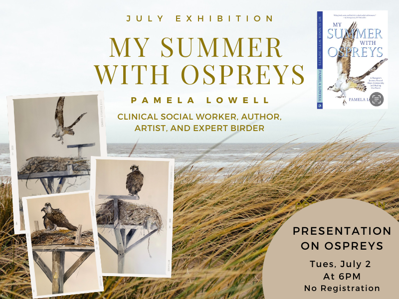 image of photos of painting of birds. and cover of book my summer with ospreys. text reads july exhibition my summer with ospreys. pamela lowell. clinical social worker, author, artist, and expert birder. presentation on ospreys tuesday, july 2 at 6pm no registration. 
